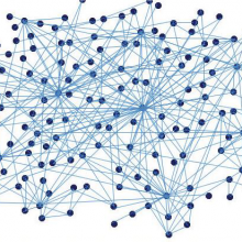 From pyramid to lattice — Gore democratic management